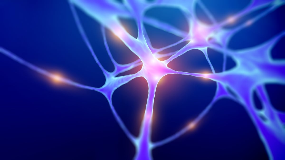 3D scientific illustration of neurons and neural synapses firing with glowing blue signals, representing the brain and nervous system communication network